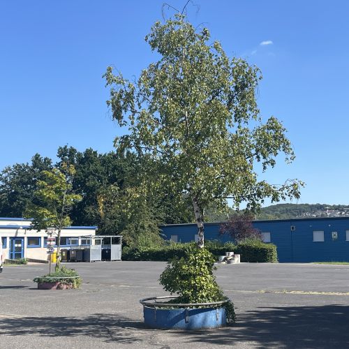 Stadt Remagen Stadt Remagen