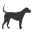 Hund erlaubt